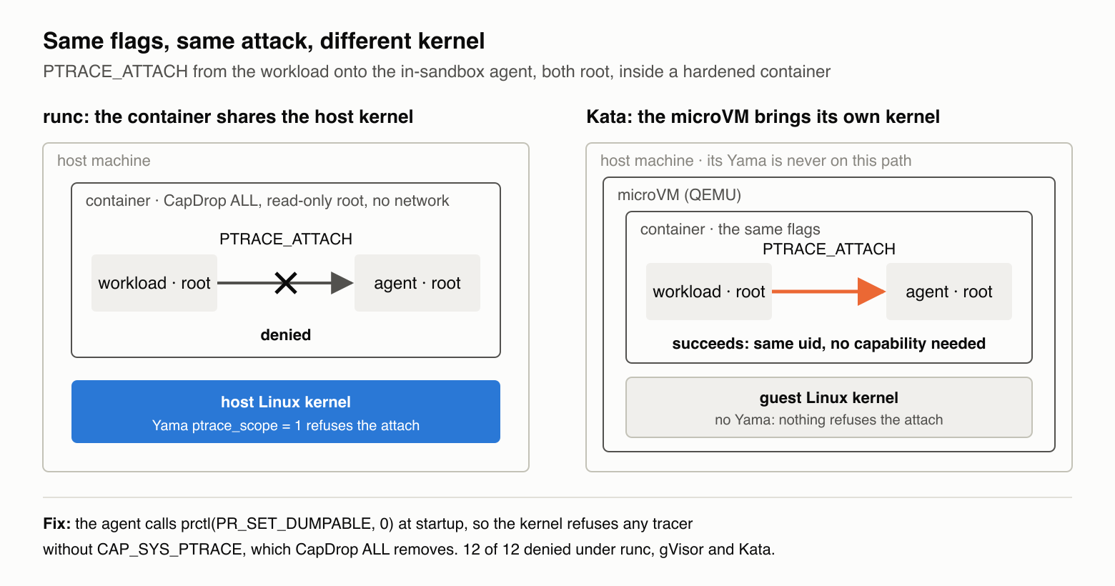 Same flags, same attack, different kernel. Under runc the container shares the host kernel, and Yama `ptrace_scope=1` re